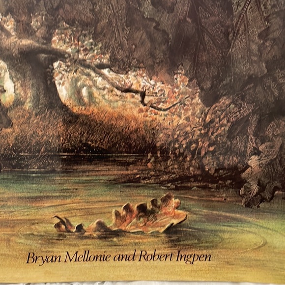 “Lifetimes, the beautiful way to explain death to children” - Picture 3 of 5